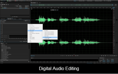 Digital Audio Editing image